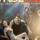 TRUE BLOOD - KOLMAS KAUSI - pikkukuva 1