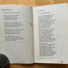 Modern Love Poems ( 1966 ) - pikkukuva 3