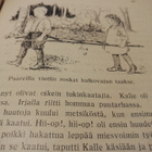 Kevätkansan kevätkirja - 1.p. Helsinki 1923 - pikkukuva 5