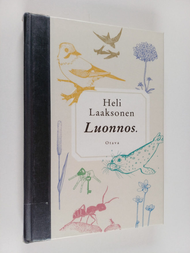 Heli Laaksonen : Luonnos.