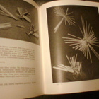 Borglund  OLKITÖITÄ OPPIMAAN  ( 1 p. 1959 ) Sis.pk:t - pikkukuva 4