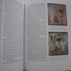 Paavo Castrén (toim.) Domus Pompeiana - Talo Pompejissa - pikkukuva 3