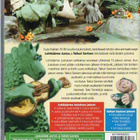 Lohikäärme Justus Ja Taikuri Savinen (62 136) UUSI -FI- DVD - pikkukuva 2