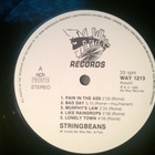 Stringbeans - King Of Trash LP - pikkukuva 5