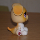 LITTLEST PET SHOP vaalea KOIRA, BOKSERI, BOKSERINPENTU #451 - pikkukuva 4