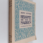 Agnes Gunther : Helgonet och narren - pikkukuva 1