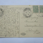 Pälkäne Tommilan kataja - 1917 - pikkukuva 2