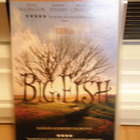 Big Fish VHS - pikkukuva 1
