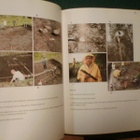 Matiskainen RIIHIMÄEN ESIHISTORIA ( 1 p. 2002 )  Sis.pk:t - pikkukuva 3
