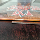 IN FLAMES - THE JESTER RACE - SUNBURST LP + CLEAR 10'' - pikkukuva 4