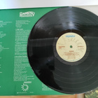 McGuinness Flint: Rainbow vinyyli - pikkukuva 2
