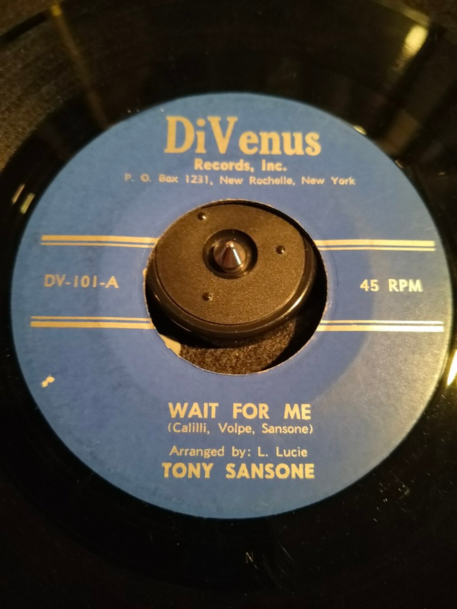 TONY SANSONE,DIVENUS 101