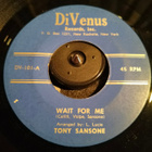 TONY SANSONE,DIVENUS 101 - pikkukuva 1