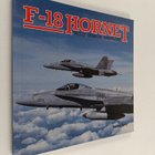 Robbie Shaw : F-18 Hornet : Multi-Mission Warplane - pikkukuva 1