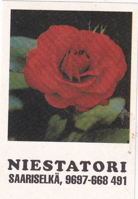 Saariselkä, NIESTATORI   b612