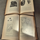 Jordens Historia I-II (kuv. 1894) - pikkukuva 5