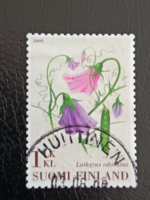-08 Hajuherne