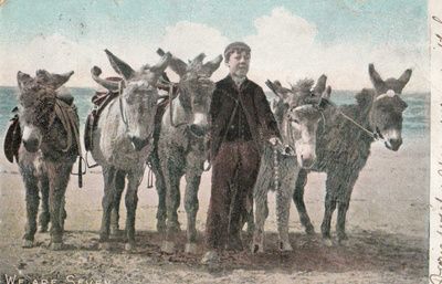 AASI POSTIKORTTI