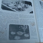 Kotiliesi No 4 helmikuu 1933 - pikkukuva 4
