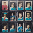 1972 Panda MM-Toronto kortit alkaen 2e/kpl - pikkukuva 4
