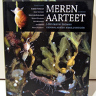 Meren aarteet - pikkukuva 1