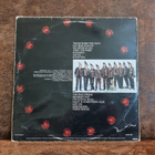 Leningrad Cowboys • We Cum From Brooklyn LP - pikkukuva 2