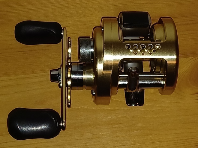 Shimano Calcutta 100 TE GT