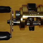 Shimano Calcutta 100 TE GT - pikkukuva 1