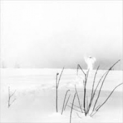 Timo Rautiainen & Trio Niskalaukaus - Itku Pitkästä Ilosta (
