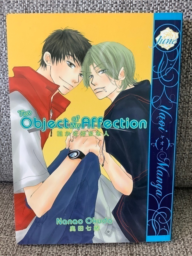 THE OBJECT OF MY AFFECTION  (YAOI MANGA) ENGL.