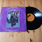 Pickettywitch – Pickettywitch lp orig 1970 Pop Rock - pikkukuva 1