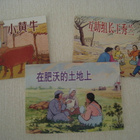 Kiinalainen China Sarjakuva-albumi 6 kpl - pikkukuva 4