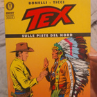 Tex Willer - Sulle piste del Nord - pikkukuva 1
