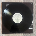 FEARGAL SHARKEY: Songs From The Mardi Gras (LP) 1991 - pikkukuva 5