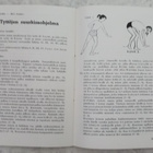 Suurkisauutiset 4/1955, naisten ja tyttöjen ohjelma - pikkukuva 3