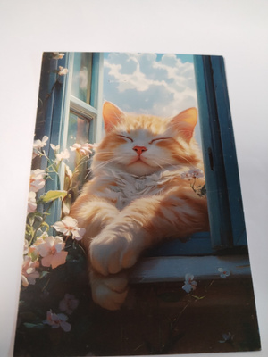 Kissa kortti, kulkematon, vaikka kehyksiin tauluksi.