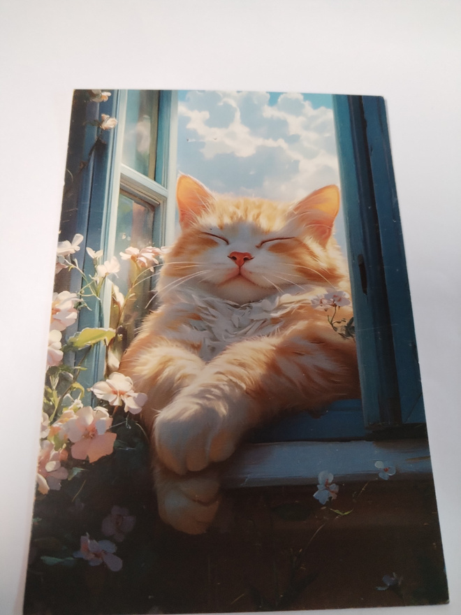 Kissa kortti, kulkematon, vaikka kehyksiin tauluksi.
