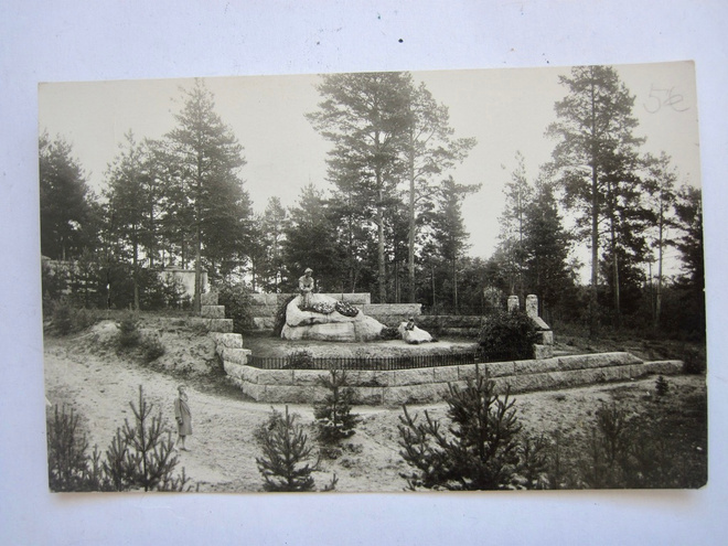 VANHA Postikortti Terijoki Vammelsuu 1920-l