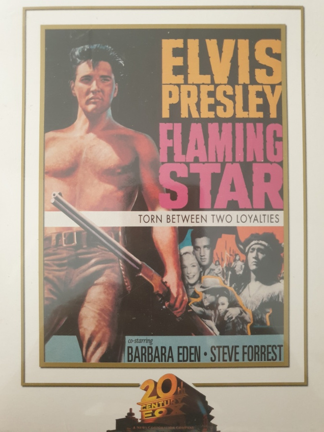 ELVIS PRESLEY FLAMING STAR / PUOLIVERINEN DVD UUSI