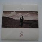Tanita Tikaram Ancient Heart LP EHDOTA HINTAA - pikkukuva 1