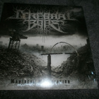 Cerebral Bore: Maniacal Miscreation Lp - pikkukuva 1
