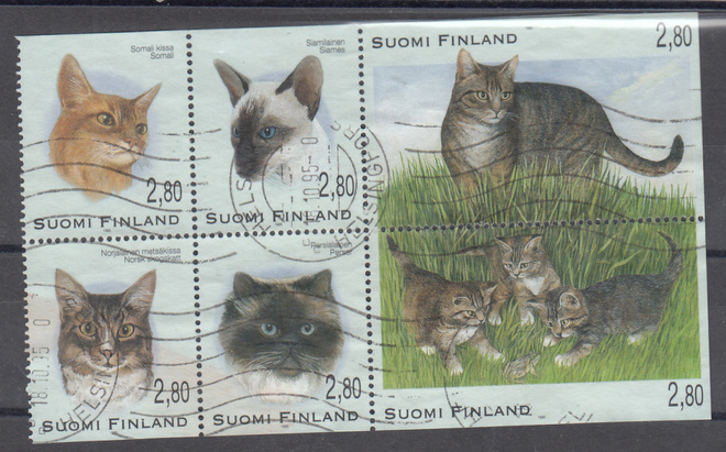 1995 Kissoja vihkonlehti