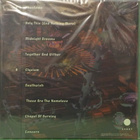 SOLITUDE AETURNUS - DOWNFALL - GREEN VINYL EU 2022 UUSI LP - pikkukuva 2