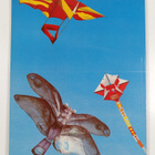 Didier Carpentier : Kites - pikkukuva 2