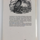 Vuokko Muje : Haukkapoika - pikkukuva 2