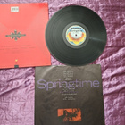 THE BLOW MONKEYS - SPRINGTIME FOR THE WORLD - pikkukuva 2