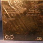 LIE IN RUINS - FLOATING IN TIMELESS STREAMS M-/M- US 2020 LP - pikkukuva 2