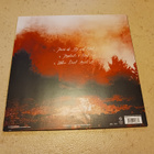 Bodom After Midnight – Paint The Sky With Blood 10" 2021 red - pikkukuva 2