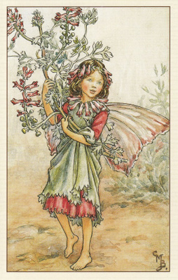 Cicely Mary Barker: Kukkakeijut peltoemäkki