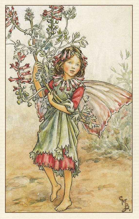 Cicely Mary Barker: Kukkakeijut peltoemäkki